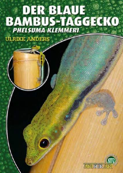 Der Blaue Bambus-Taggecko